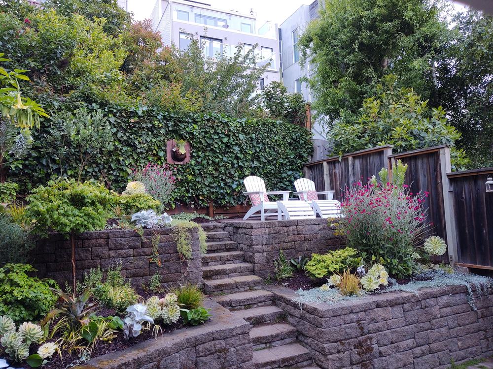 A terraced back garden with dry-stone retaining walls, steps rising to a seating area with two white chairs, planted with aeoniums, grasses and flowering perennials.